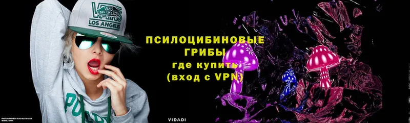 мега tor  Новороссийск  Псилоцибиновые грибы Magic Shrooms 